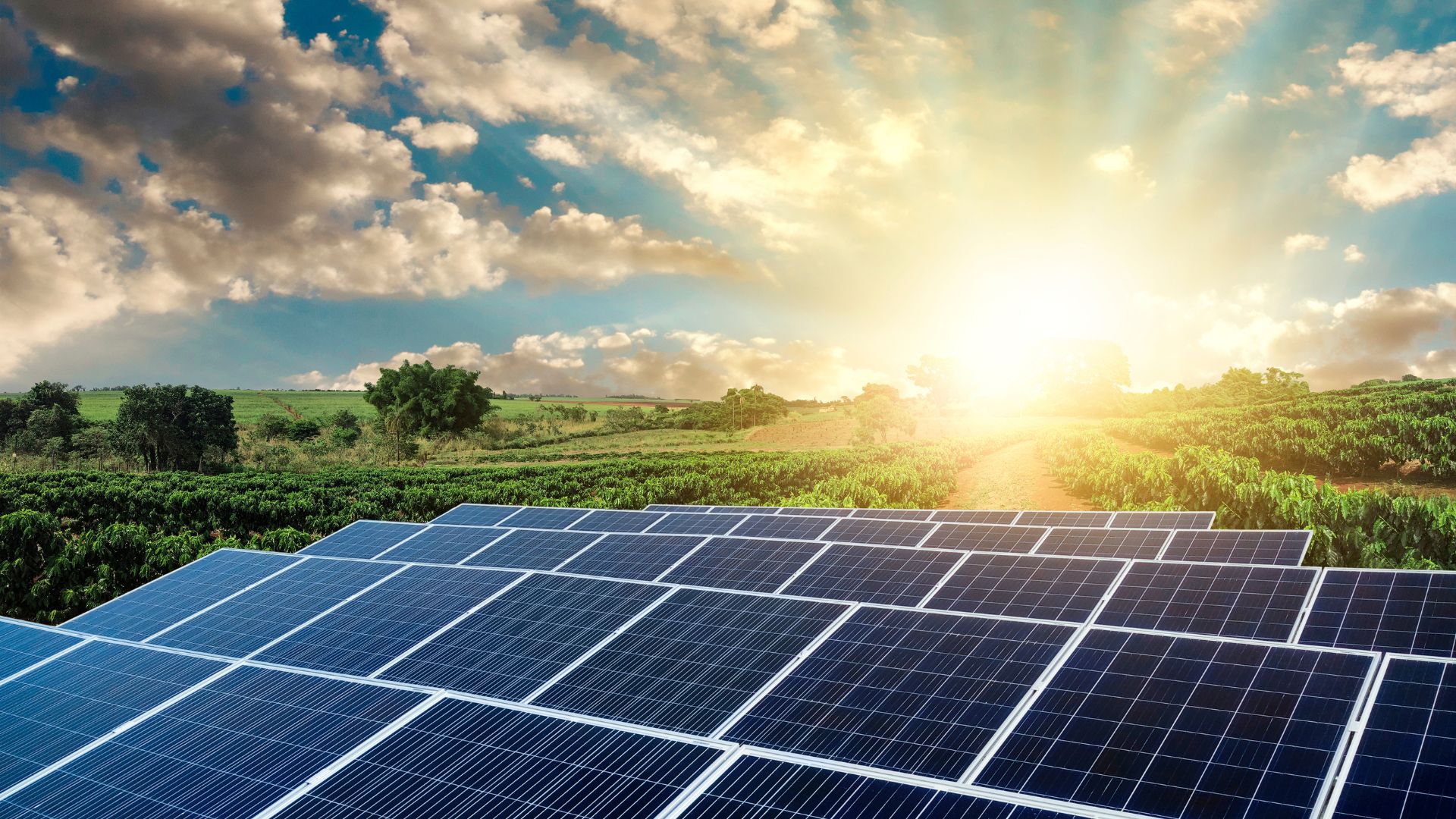 Gulf countries to invest billions of dollars in solar energy by 2030